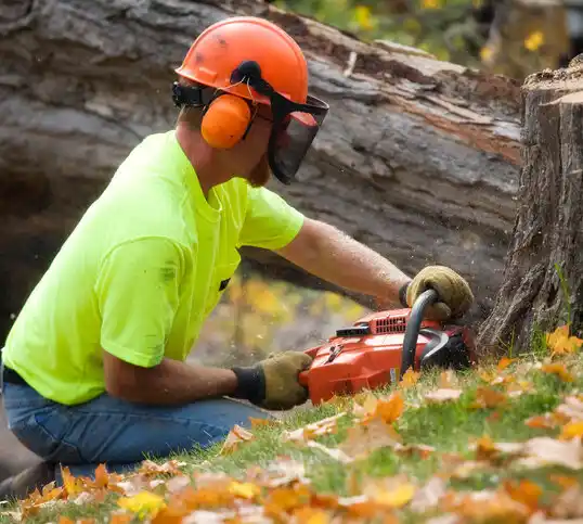 tree services New Albany